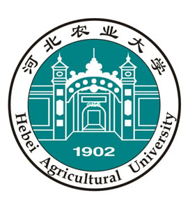 红桥河北农业大学